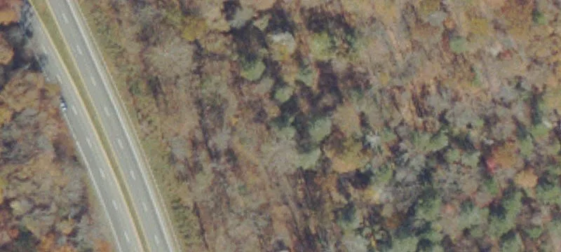Wooded Recreational Land Tract