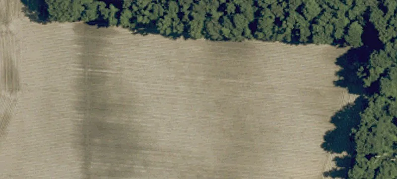 Farmland Tract with Road Access