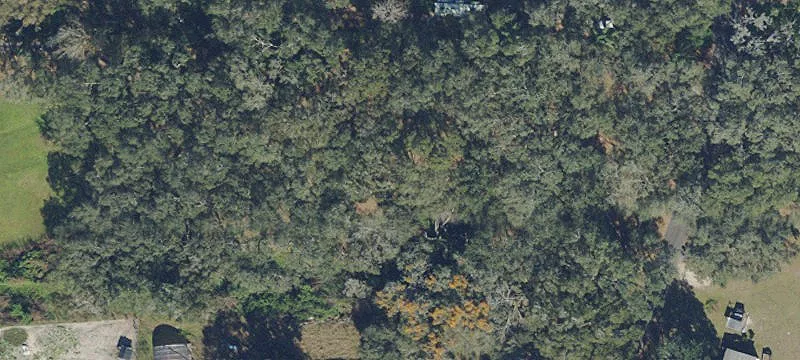 Agricultural Land with Creek