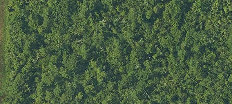 Build-Ready Residential Homesite