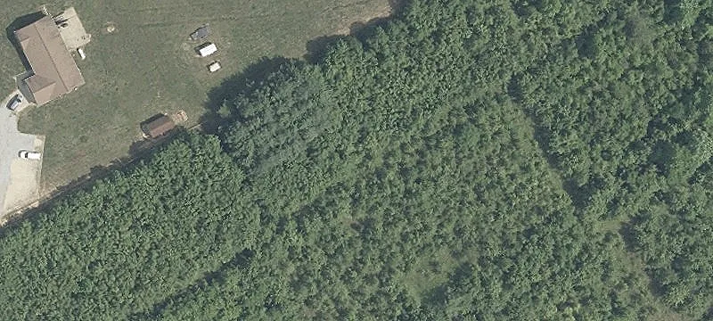 Wooded Residential Development Lot
