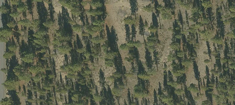 Nearly 14-Acre Homesite Land