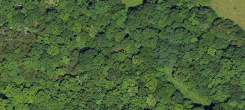 Hunting and Recreation Land Tract