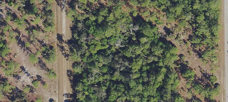 Residential Vacant Lot