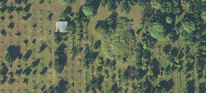 Corner Agricultural Property with Home