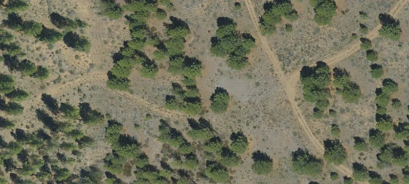 Recreational Hunting Land for Sale