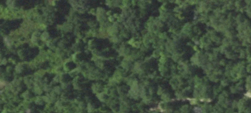 Ranch-Style Agricultural Property