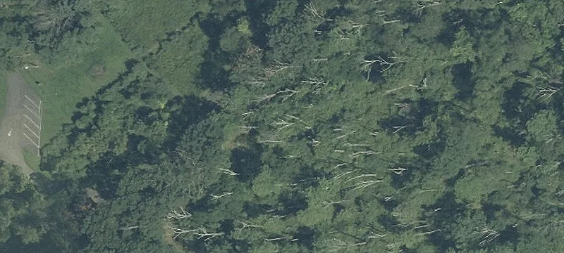 Wooded Residential Land Parcel