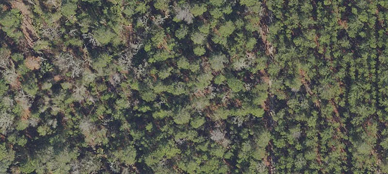 Vacant Land Homesite Opportunity