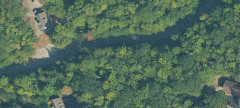 Timberland Acres for Sale