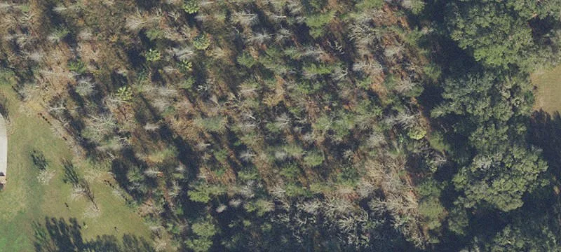 Acreage Homesite in Gated Community