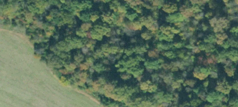 Agricultural Land Parcel