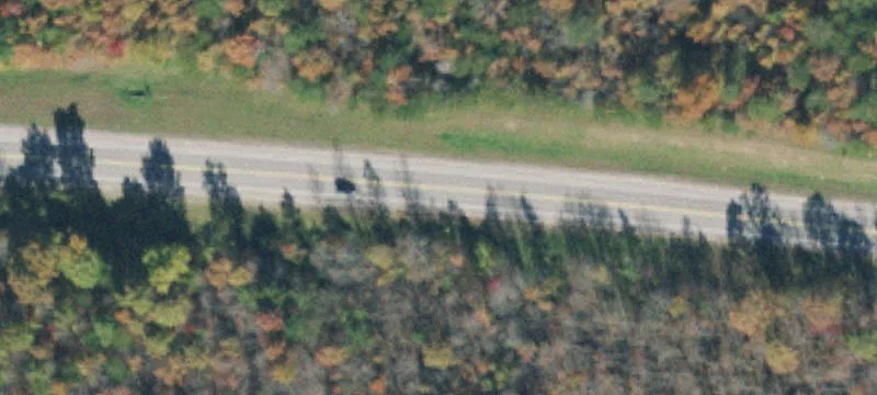 Commercial Land for Sale