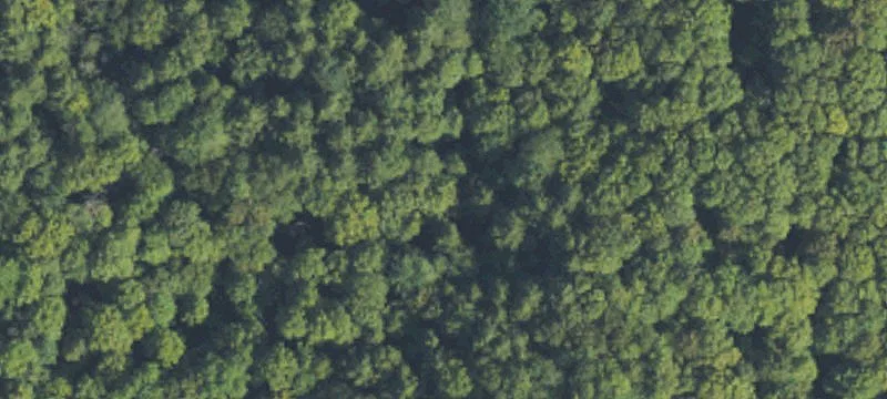 Wooded Recreation Land with Creek