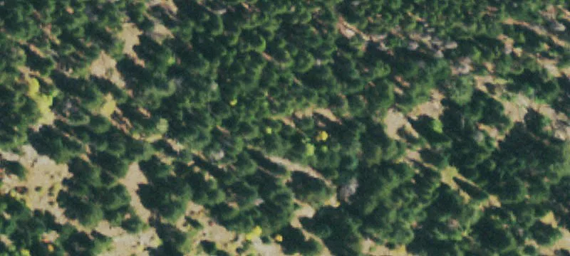 Creekside Waterfront Homesite