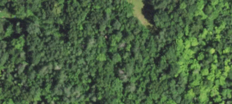 Residential Building Lot with Driveway