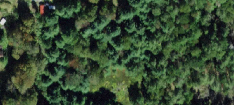 Waterfront Lakefront Land Parcel