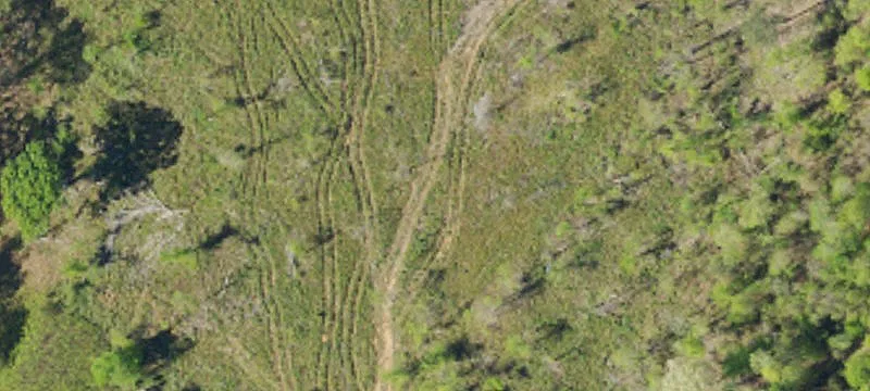 Timber Tract for Sale