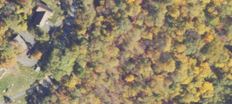 Wooded Residential Home Lot
