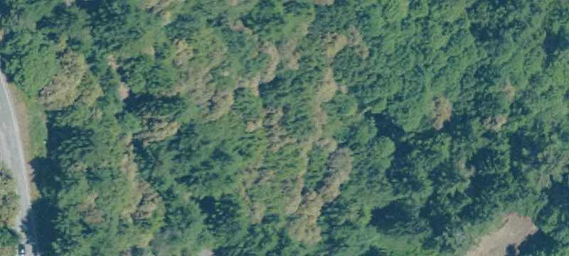 Vacant Home-Building Lot