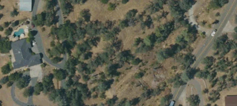 Residential Land Parcel with Trees
