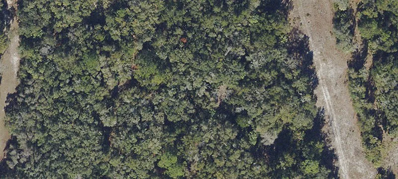 Wooded Hunting Land Acreage