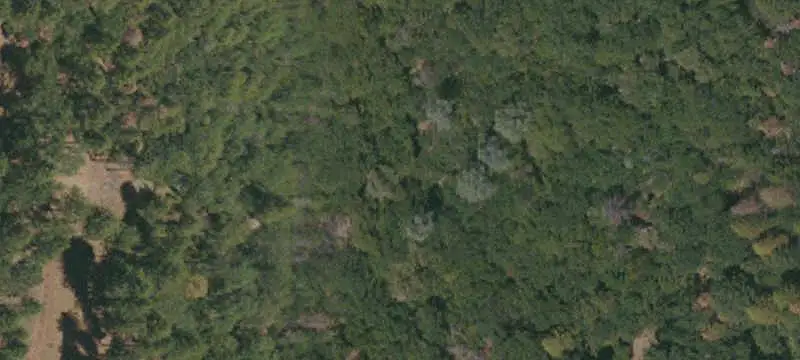 Ready-to-Build Residential Land