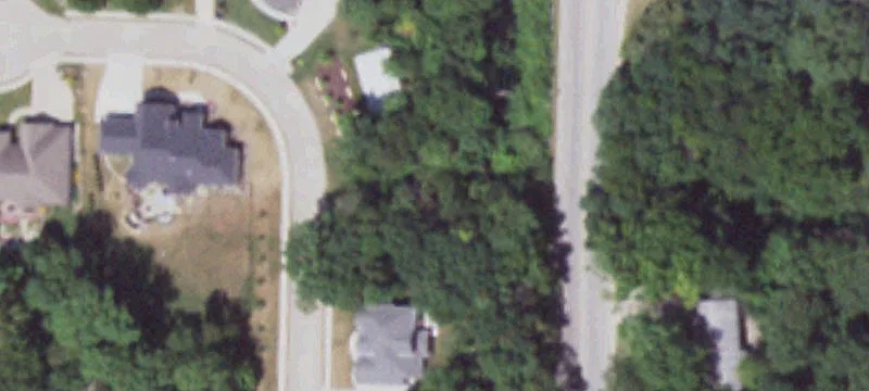 Residential Building Lot with Trees