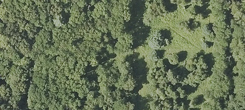 Land with Brookside Acreage