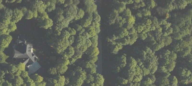 Wooded Buildable Land Parcel