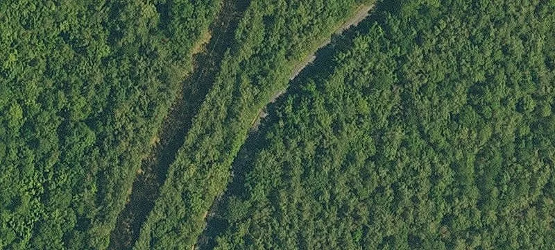 Timberland and Hunting Tract