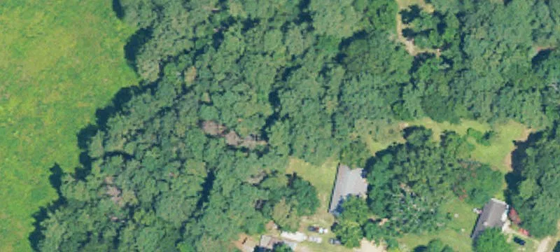 Country Homesite with Road Frontage