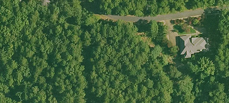 Residential Wooded Homesite