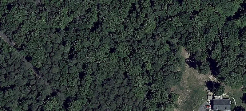 Perced Residential Home Lot