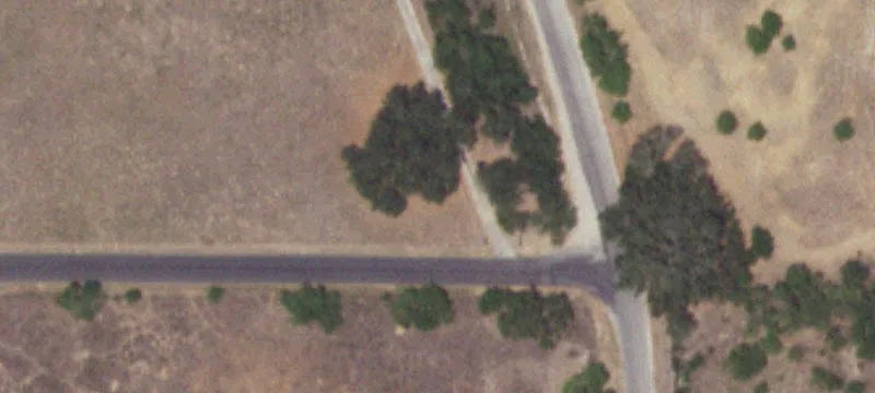 Ranch Land with Mature Shade Trees