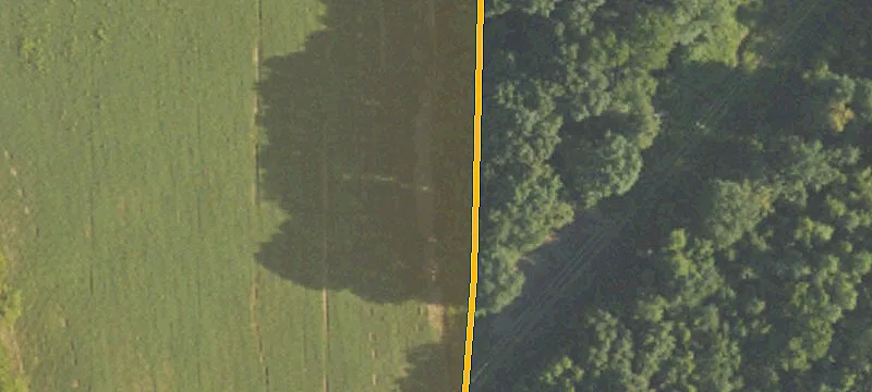 170-Acre Land Parcel