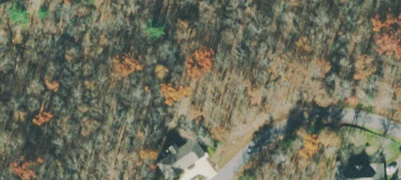 Corner Residential Lot