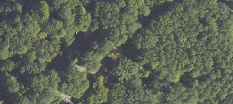 Wooded Waterfront Land Parcel