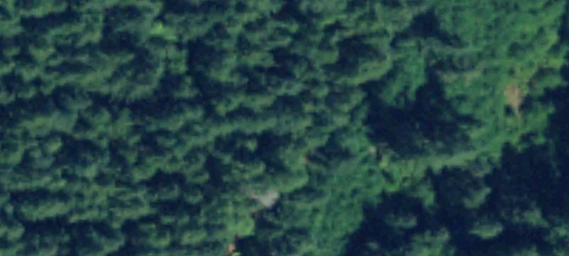Willapa River Front Land