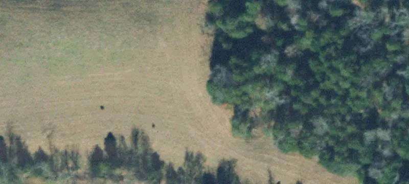 Wooded Recreational Land Tract