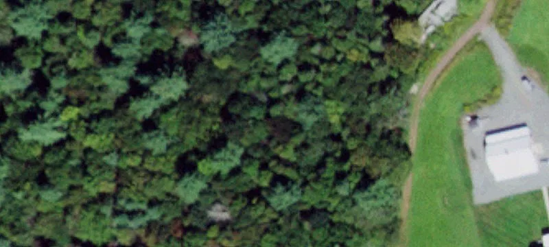 Wooded Residential Land Parcel