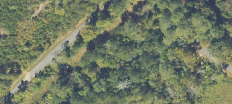 Mountain Recreation Lot in Gated Resort