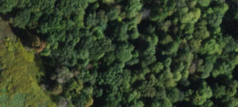 Flat Wooded Home Building Lot