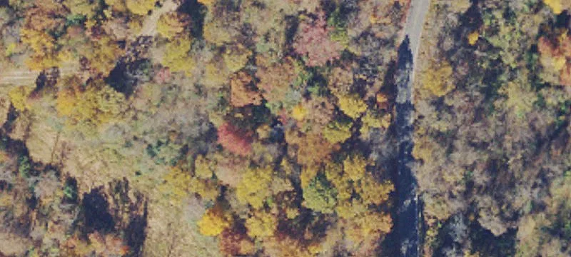 Recreational Hunting and Timber Land