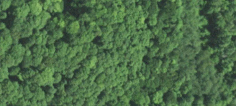 Wooded Northwoods Land Parcel