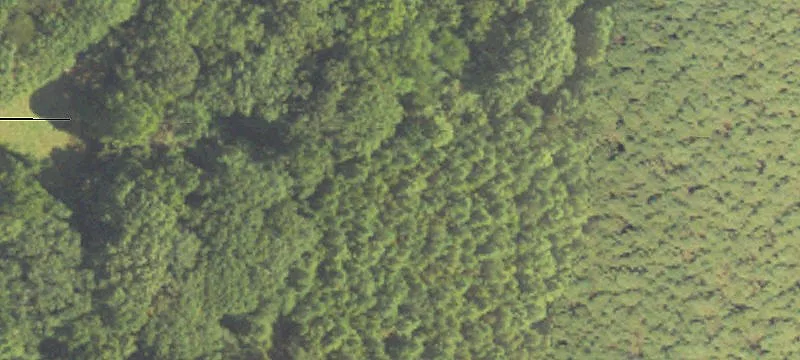 Reforestation Hunting Tract
