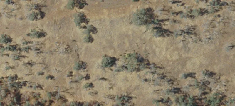 Vacant Land Parcel