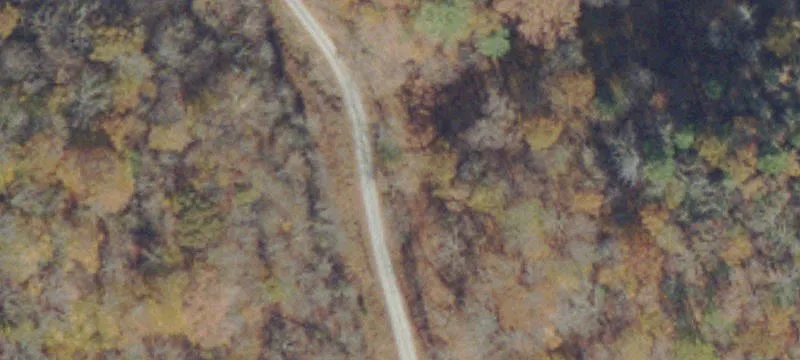 Hunting Land with Road Frontage
