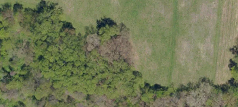 Residential Home Lot on Cul-de-Sac
