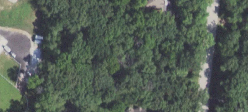 Wooded Buildable Lot with Utilities